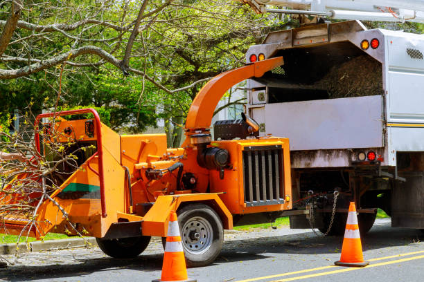 Best Tree Mulching Services  in Colby, WI