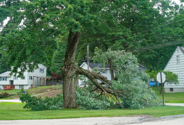 Best Lawn Drainage Solutions  in Colby, WI