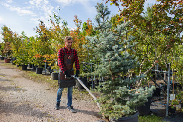 Best Seasonal Cleanup  in Colby, WI